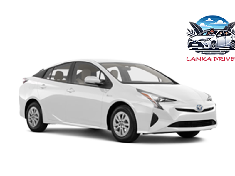 Autista per 4 persone – Lingua Inglese